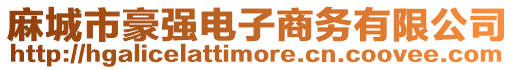麻城市豪強(qiáng)電子商務(wù)有限公司