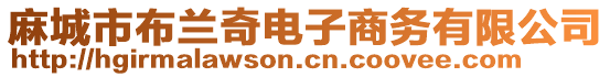 麻城市布蘭奇電子商務有限公司