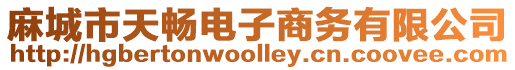 麻城市天暢電子商務有限公司