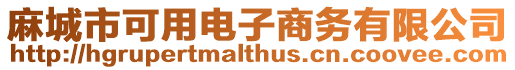 麻城市可用電子商務有限公司