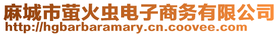 麻城市螢火蟲電子商務有限公司