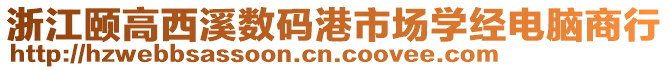 浙江頤高西溪數碼港市場學經電腦商行