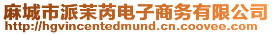 麻城市派茉芮電子商務有限公司