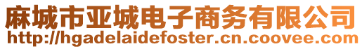 麻城市亞城電子商務有限公司