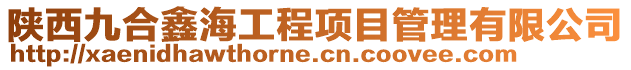 陜西九合鑫海工程項目管理有限公司