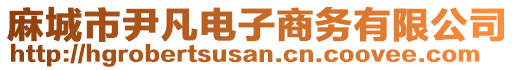 麻城市尹凡電子商務有限公司