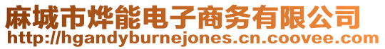 麻城市燁能電子商務有限公司