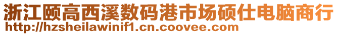 浙江頤高西溪數碼港市場碩仕電腦商行