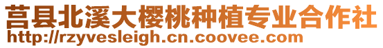 莒縣北溪大櫻桃種植專業合作社