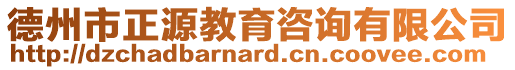 德州市正源教育咨詢有限公司