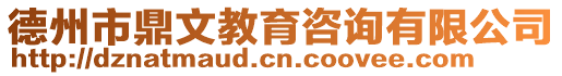 德州市鼎文教育咨詢有限公司