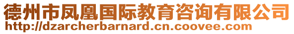 德州市鳳凰國際教育咨詢有限公司