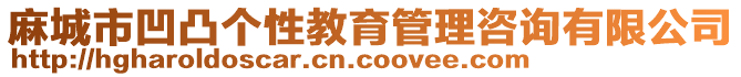 麻城市凹凸個(gè)性教育管理咨詢有限公司