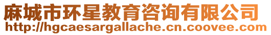 麻城市環星教育咨詢有限公司