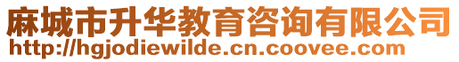 麻城市升華教育咨詢有限公司