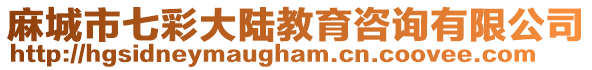麻城市七彩大陸教育咨詢有限公司