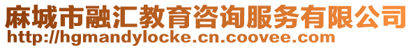 麻城市融匯教育咨詢服務有限公司