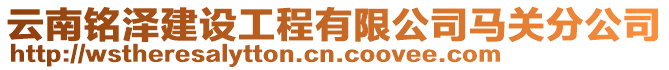 云南銘澤建設工程有限公司馬關分公司