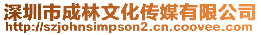 深圳市成林文化傳媒有限公司