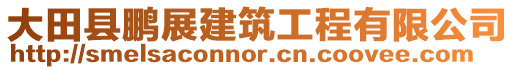 大田县鹏展建筑工程有限公司