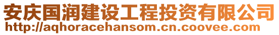 安慶國潤建設工程投資有限公司