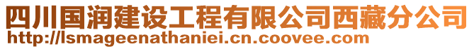四川國潤建設工程有限公司西藏分公司