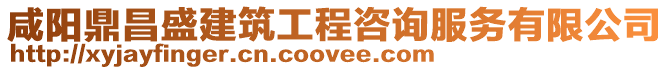 咸陽鼎昌盛建筑工程咨詢服務有限公司