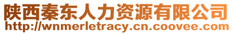 陜西秦東人力資源有限公司