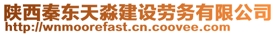 陜西秦東天淼建設(shè)勞務(wù)有限公司