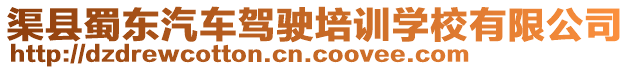 渠縣蜀東汽車駕駛培訓學校有限公司