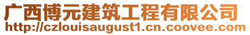 廣西博元建筑工程有限公司