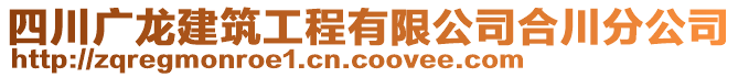 四川廣龍建筑工程有限公司合川分公司