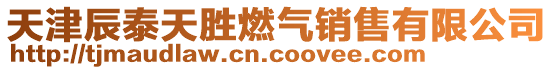 天津辰泰天勝燃?xì)怃N售有限公司