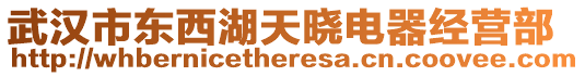 武漢市東西湖天曉電器經營部