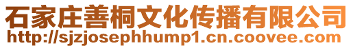 石家莊善桐文化傳播有限公司