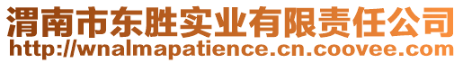渭南市東勝實業有限責任公司