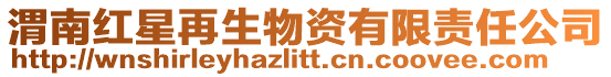 渭南紅星再生物資有限責任公司