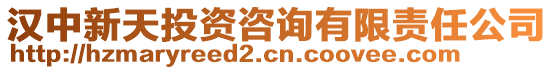 漢中新天投資咨詢有限責(zé)任公司