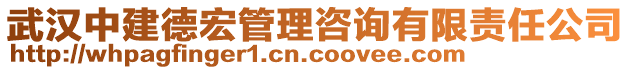 武漢中建德宏管理咨詢有限責任公司
