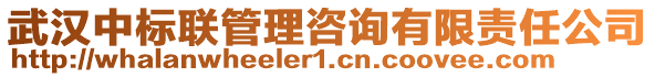 武漢中標聯(lián)管理咨詢有限責任公司