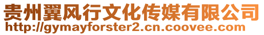 貴州翼風(fēng)行文化傳媒有限公司