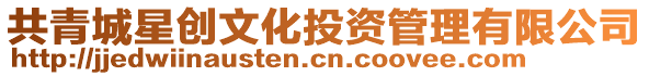 共青城星創文化投資管理有限公司