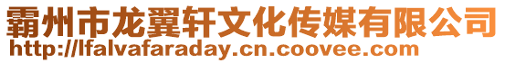霸州市龍翼軒文化傳媒有限公司