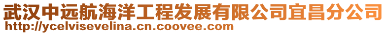 武漢中遠(yuǎn)航海洋工程發(fā)展有限公司宜昌分公司