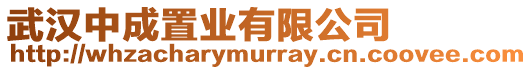 武漢中成置業(yè)有限公司
