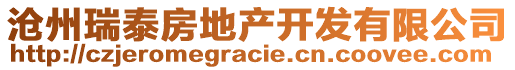 滄州瑞泰房地產(chǎn)開(kāi)發(fā)有限公司