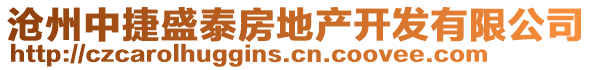 滄州中捷盛泰房地產(chǎn)開發(fā)有限公司