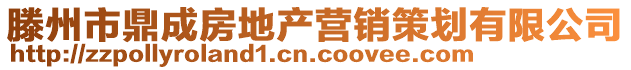 滕州市鼎成房地產營銷策劃有限公司