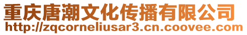 重慶唐潮文化傳播有限公司