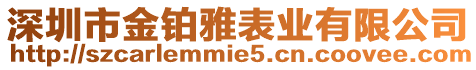 深圳市金鉑雅表業有限公司